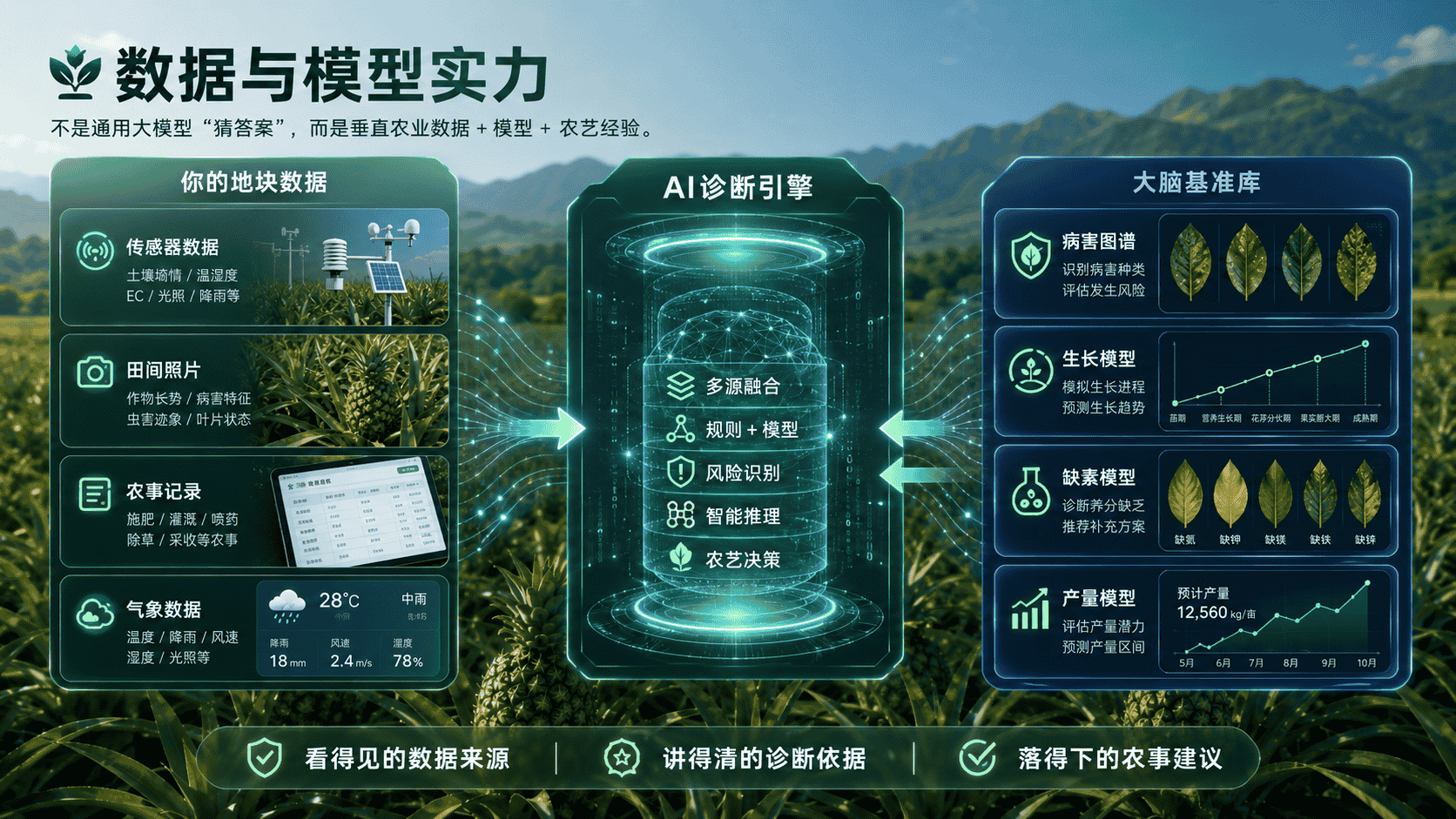 MCP 与 API 多端接入、产品与生态总览